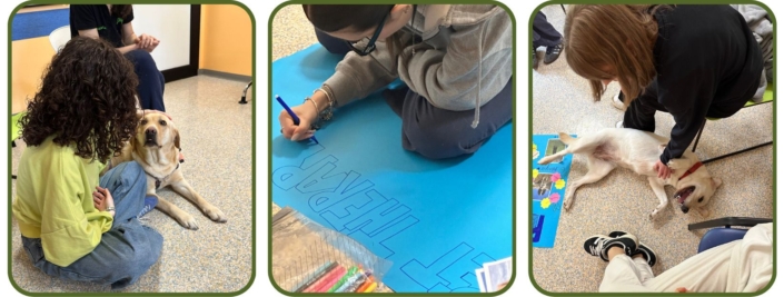 Associazione Midori