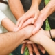 Associazione Midori