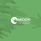 Progetto - Associazione Midori