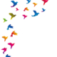 Associazione Midori